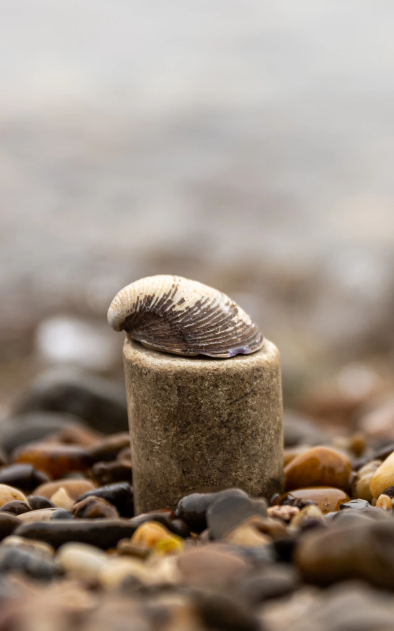 Generative Engine Optimization (GEO): Let AI select your content